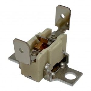 029. Termokontakt Pb10/20 