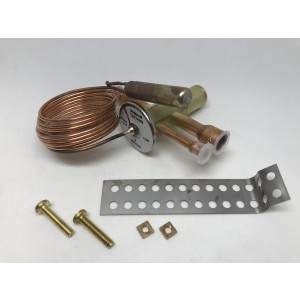 Expansionsventil TLEX 2,5 R134 A